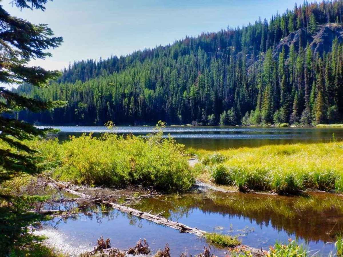 Lost Lake trail photo