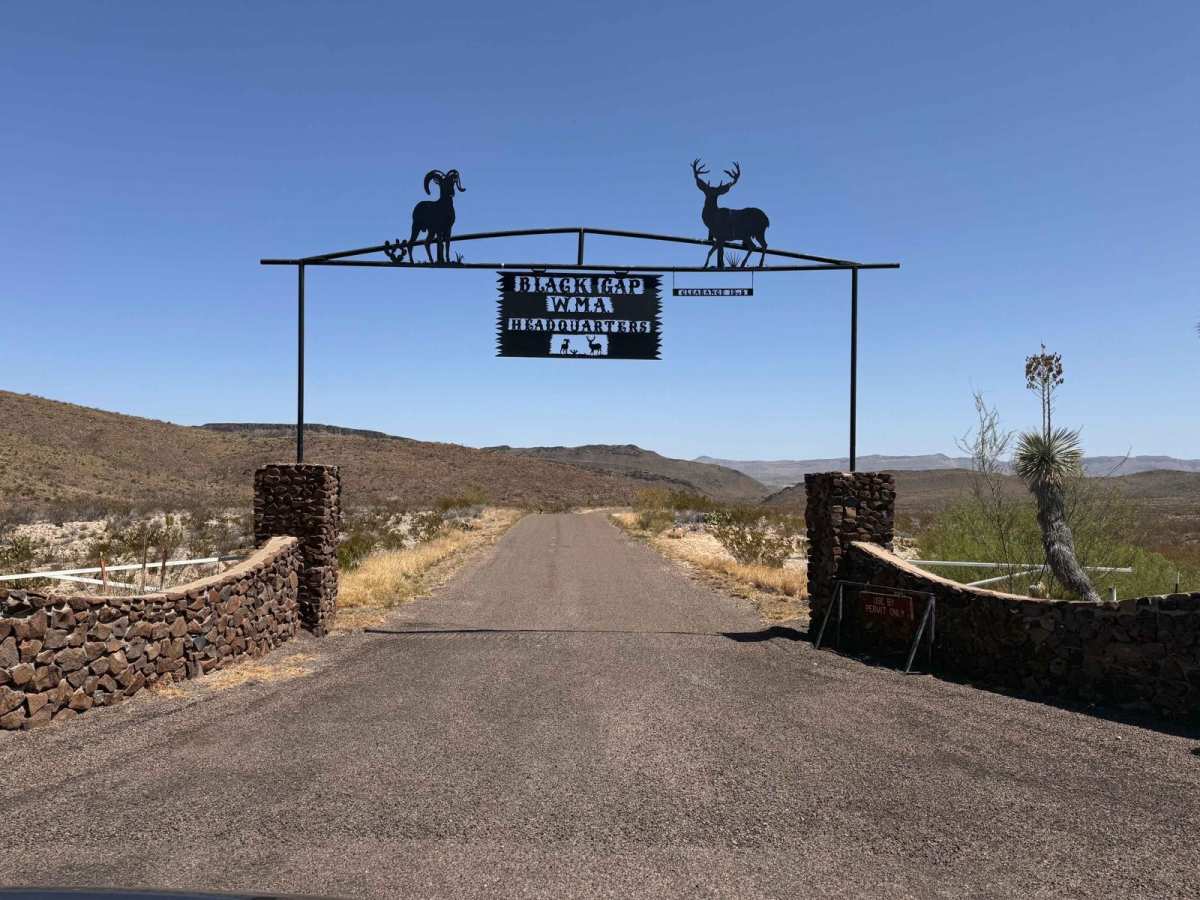 Black Gap Wildlife Management Area Road trail photo