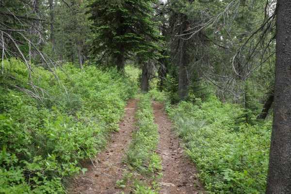 St Joe Divide NRT ATV