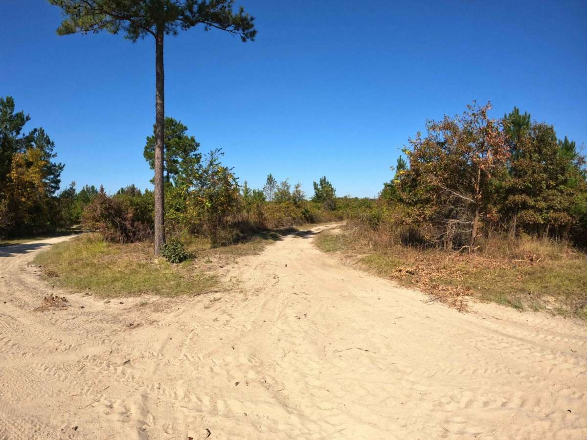 Devine Drive trail photo
