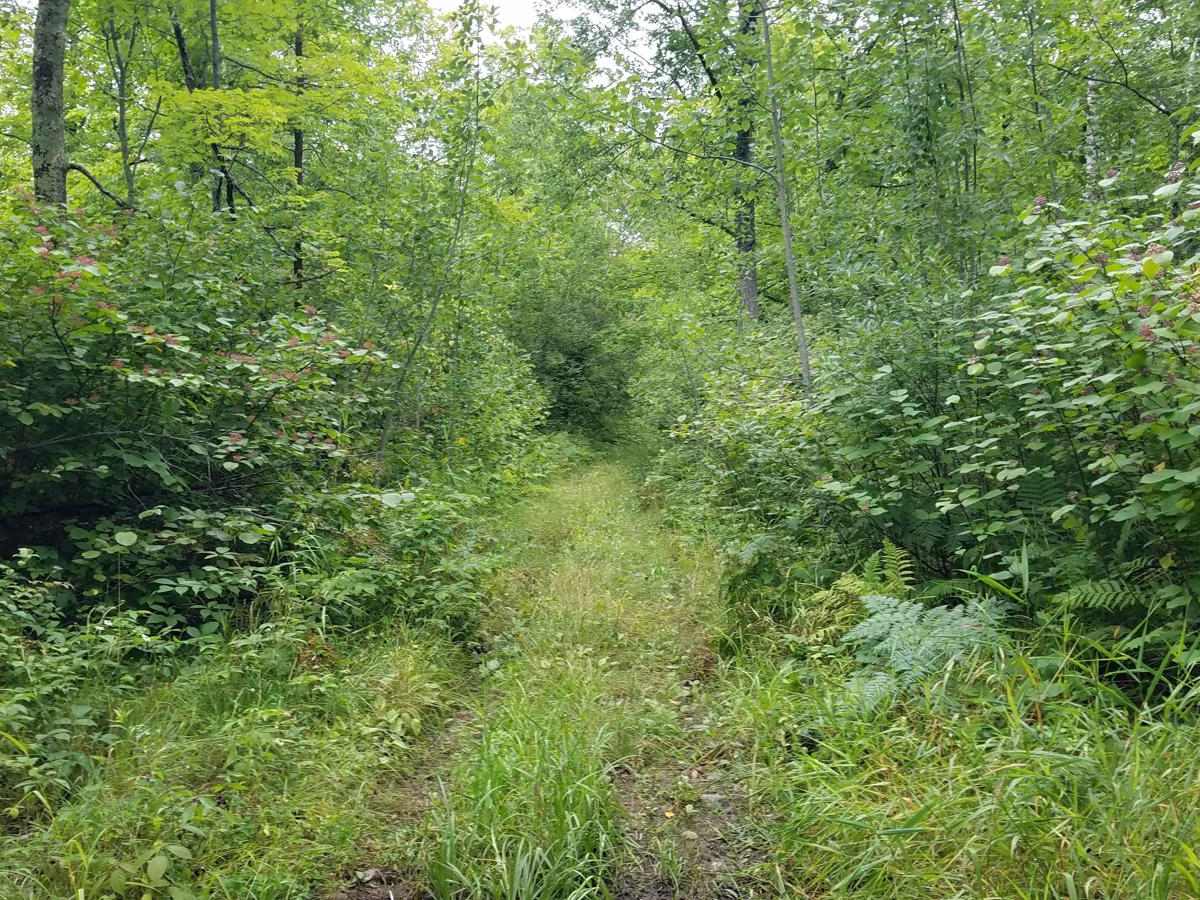 Plantation Loop photo 4