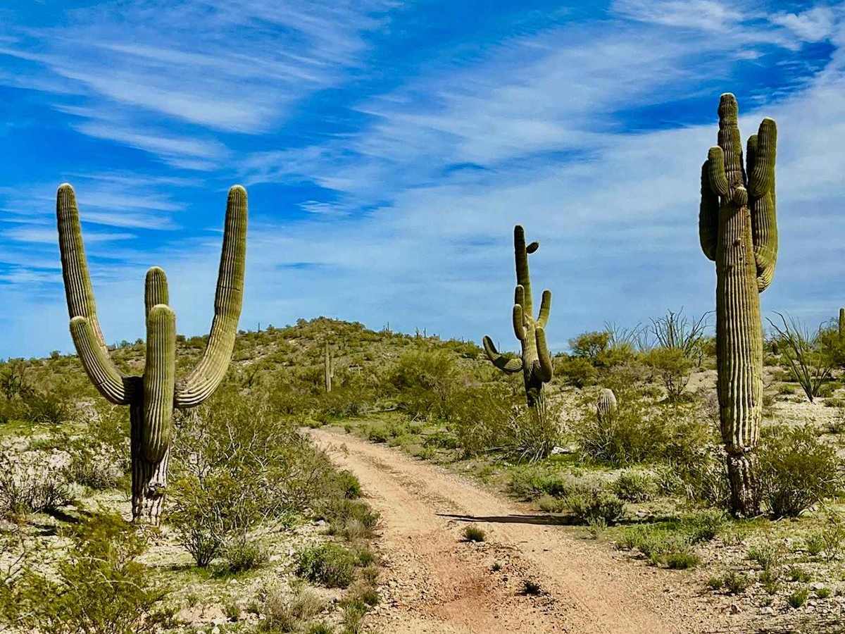 Outlaw Hill Private Gate trail photo