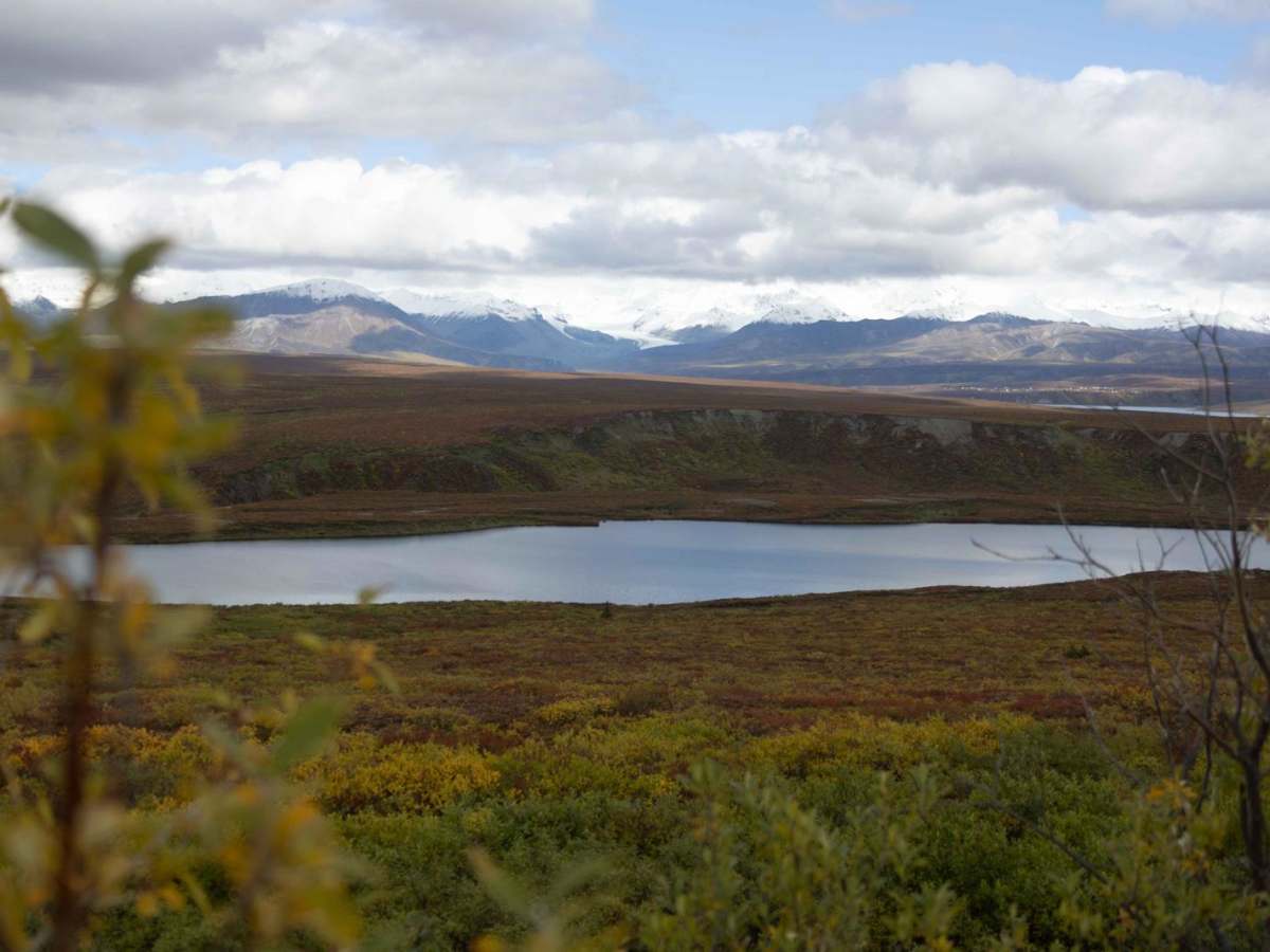 Maclaren River Trail photo 4