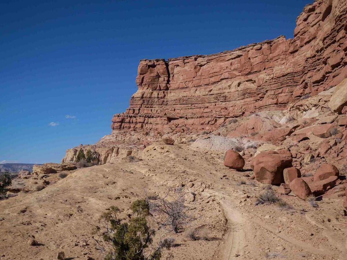 Fence trail photo