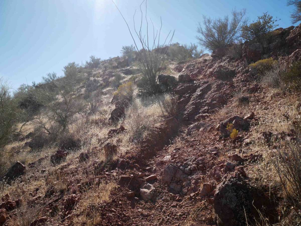 Picacho Singletrack photo 4