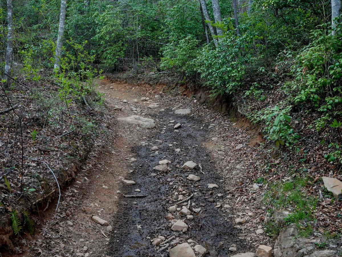 Buck Knob Trail 11 photo 5
