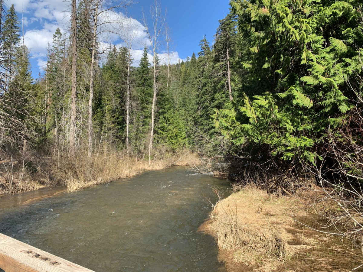 West Fork Eagle Creek (805) photo 6