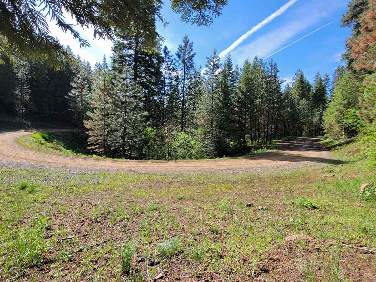 NR 019 - Bear Creek Saddle photo 5