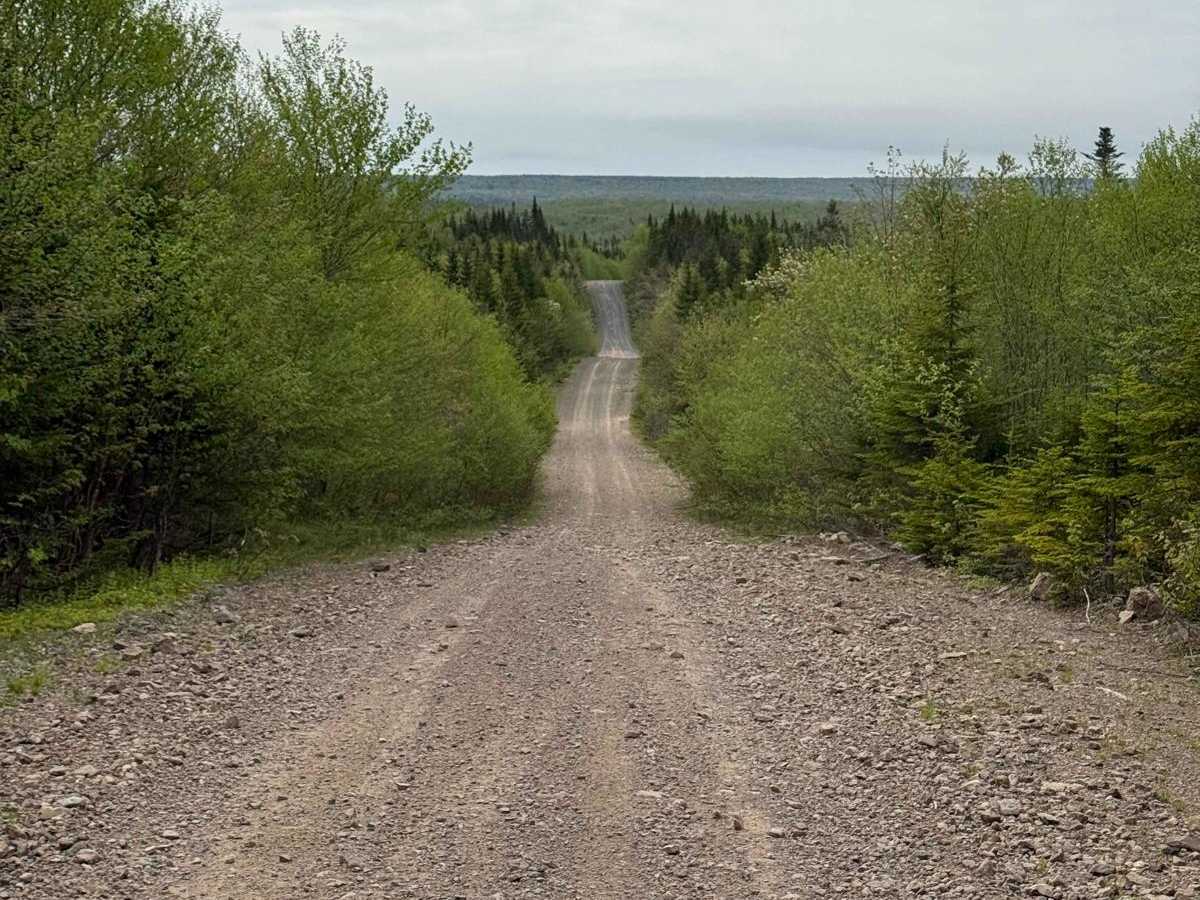 Trout Brook Road trail photo