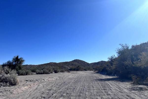 Lower Mohave Wash