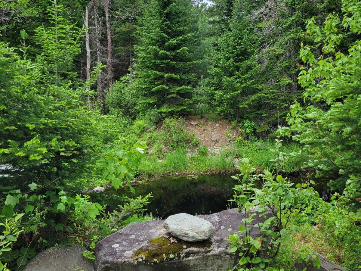 Buffalo Stream East trail photo