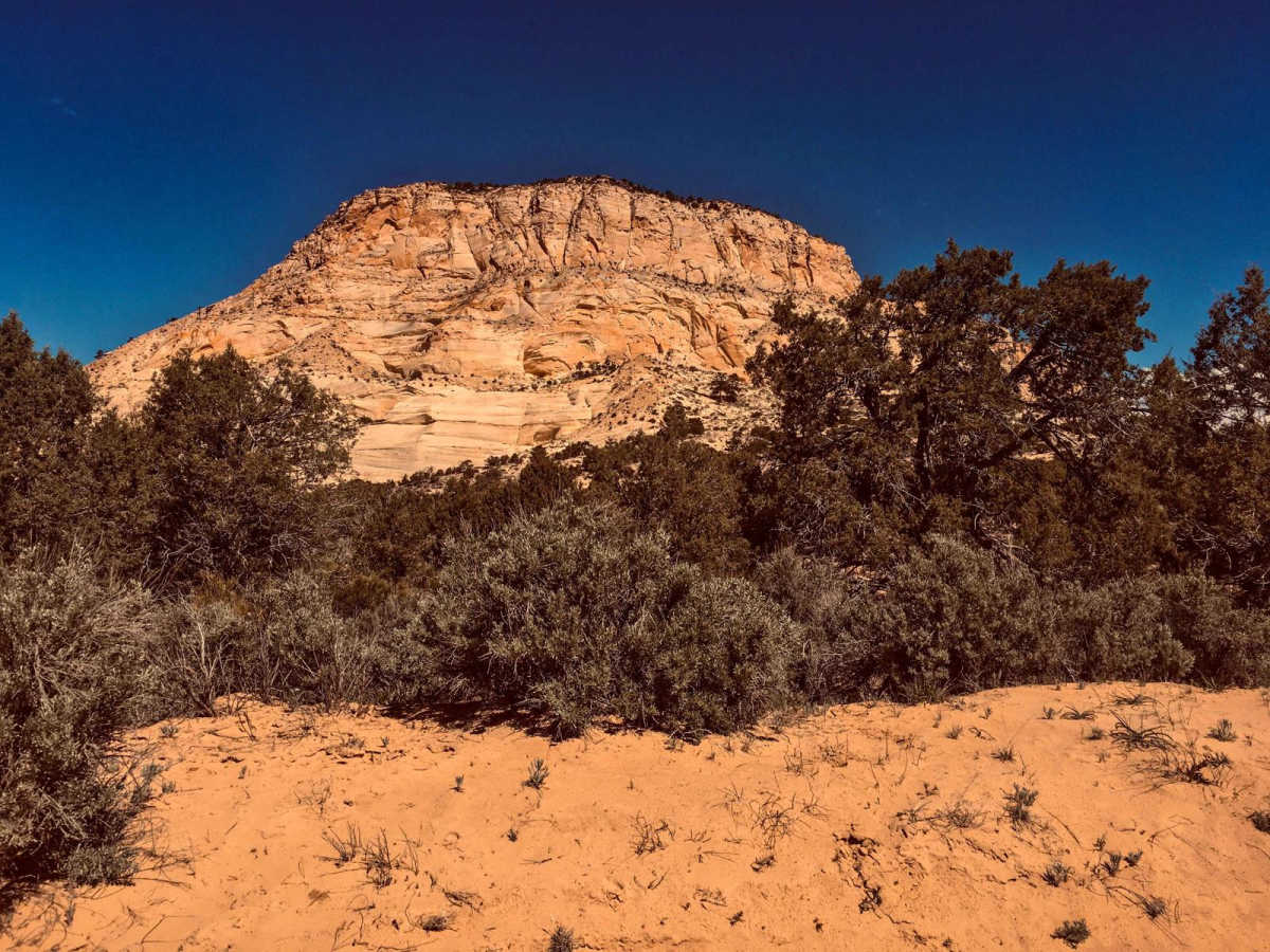 Nephi Pasture Road BLM556-K3600 photo 6