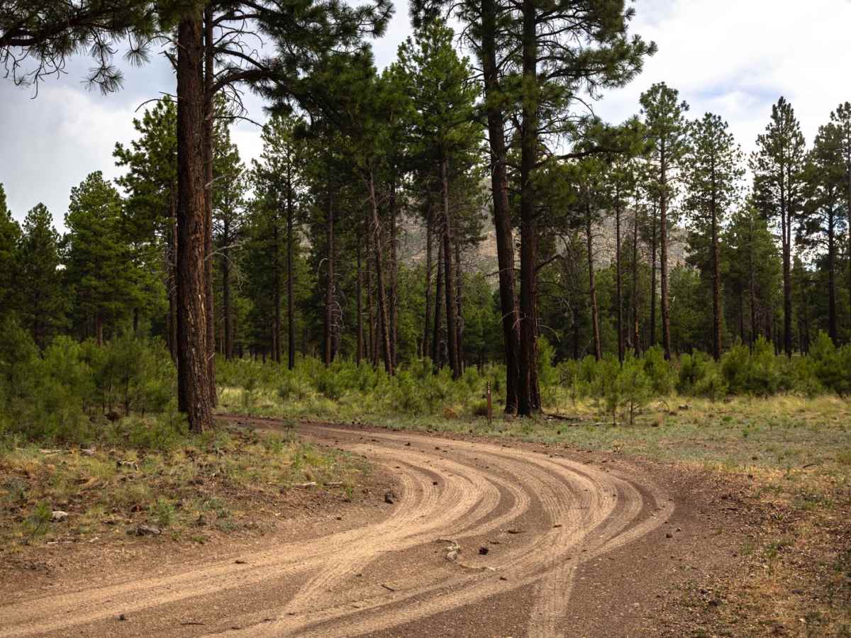 RS Roundabout trail photo