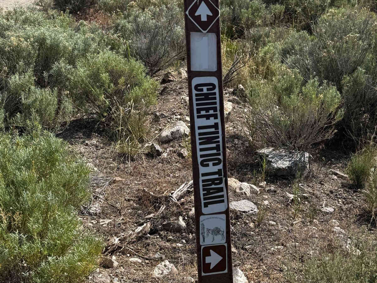 Prospector OHV Backway Complex photo 4