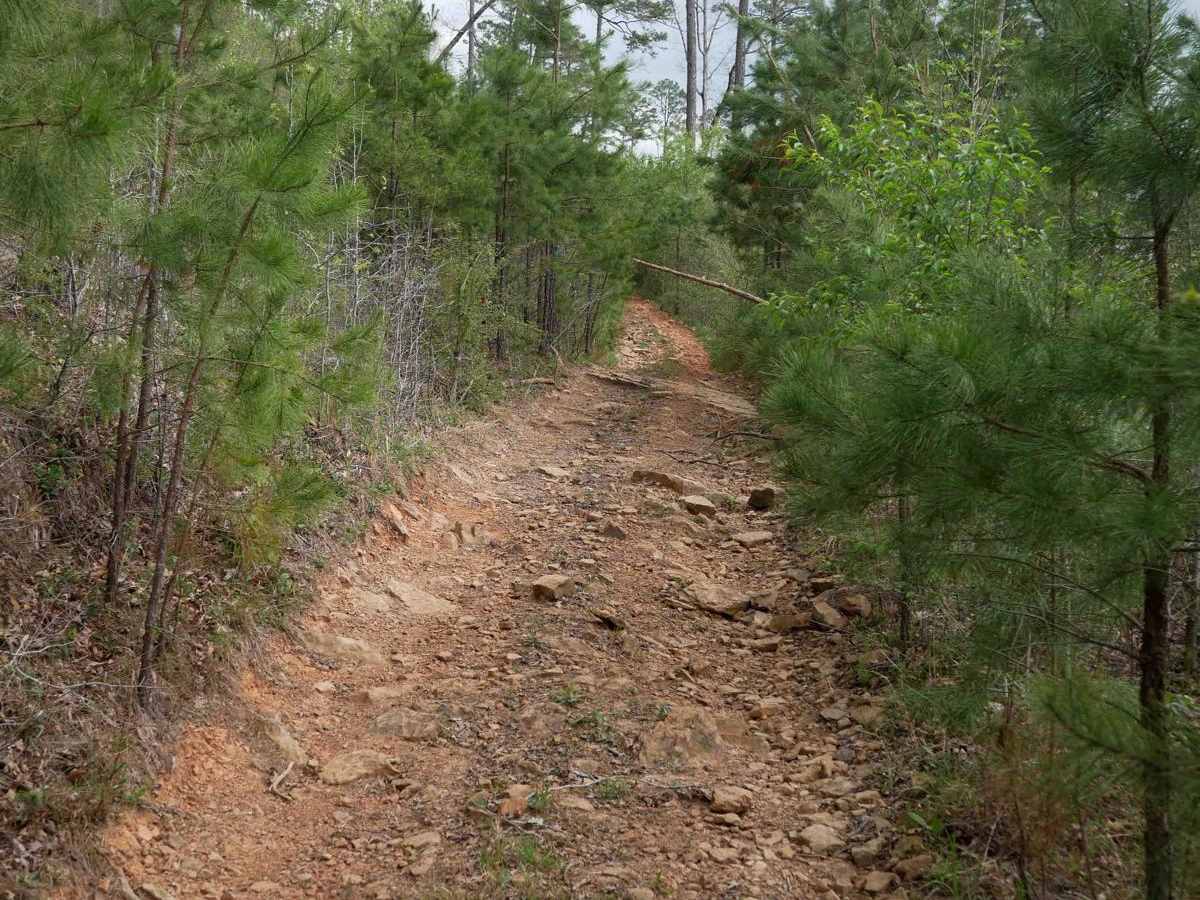 High Mountain Loop (South) photo 6
