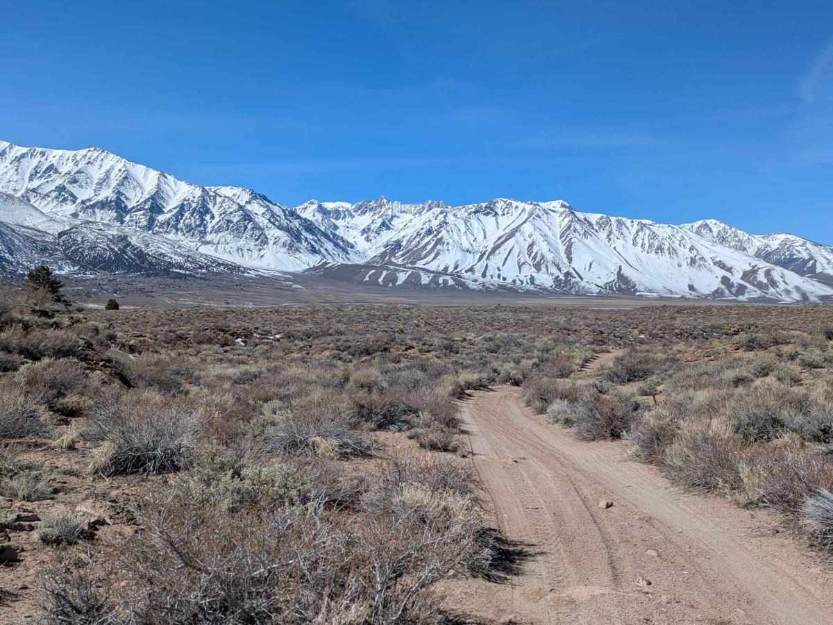 Crowley Lake Eastside - FS 4245 trail photo