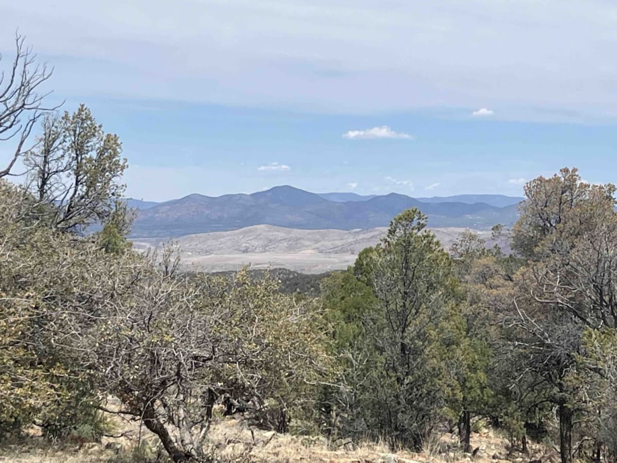 Willow Creek/Shrine Mine Road photo 4