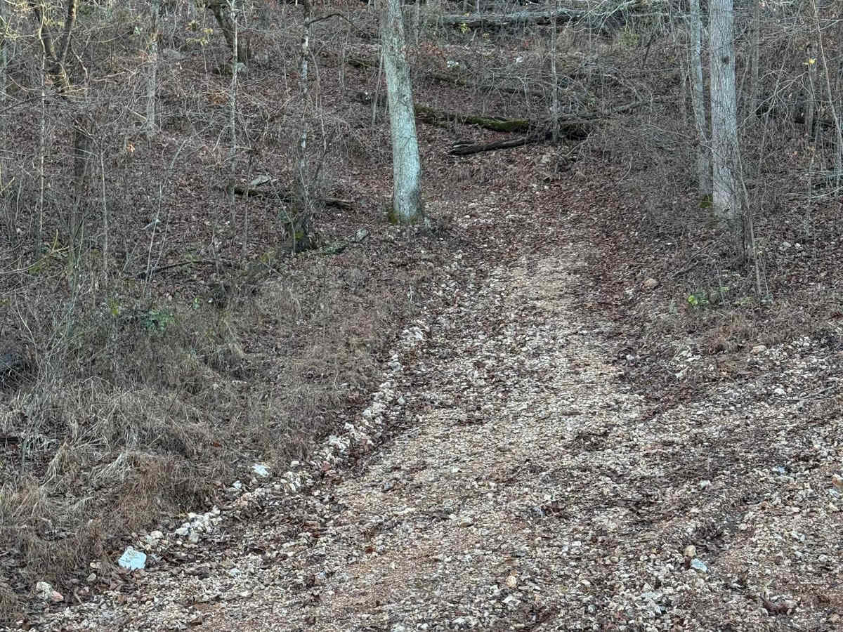 Yellow 151 trail photo