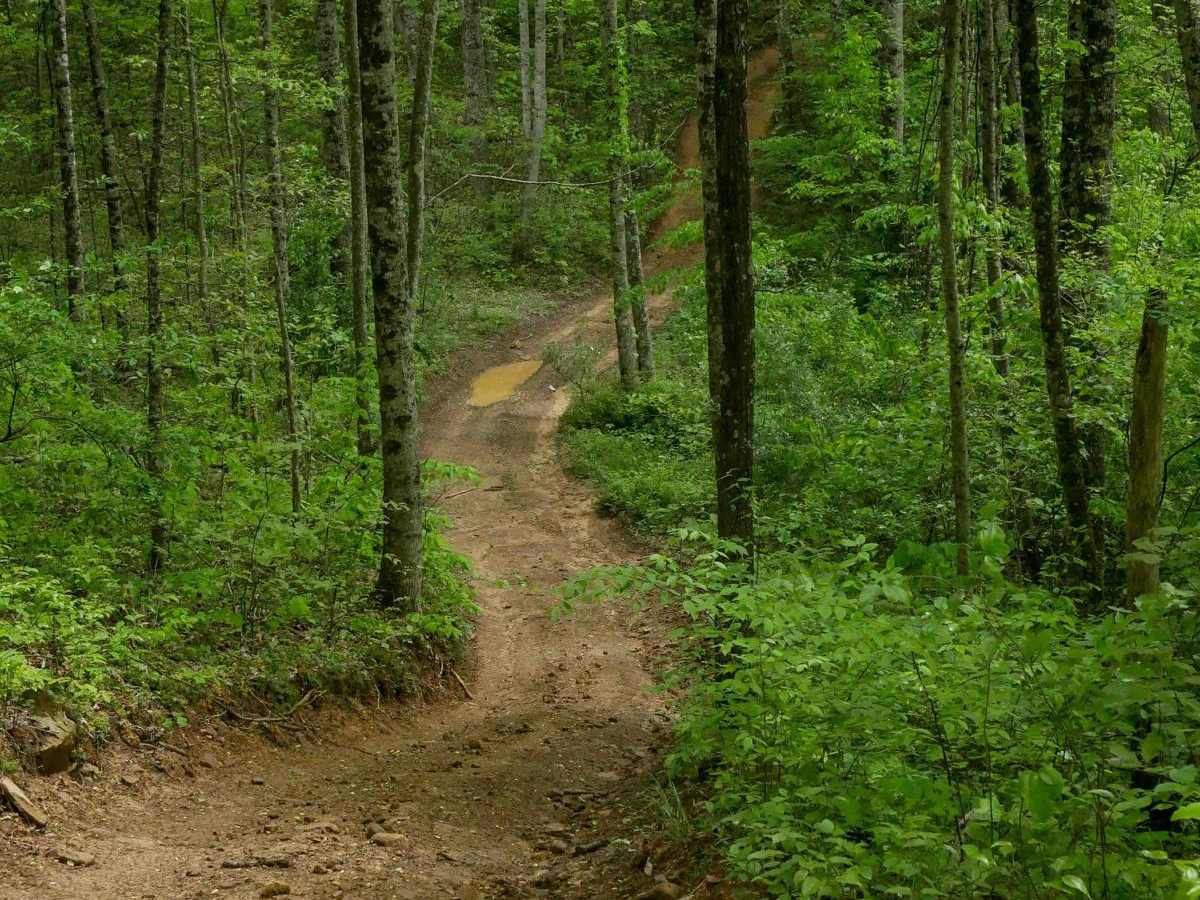 OP 13 trail photo