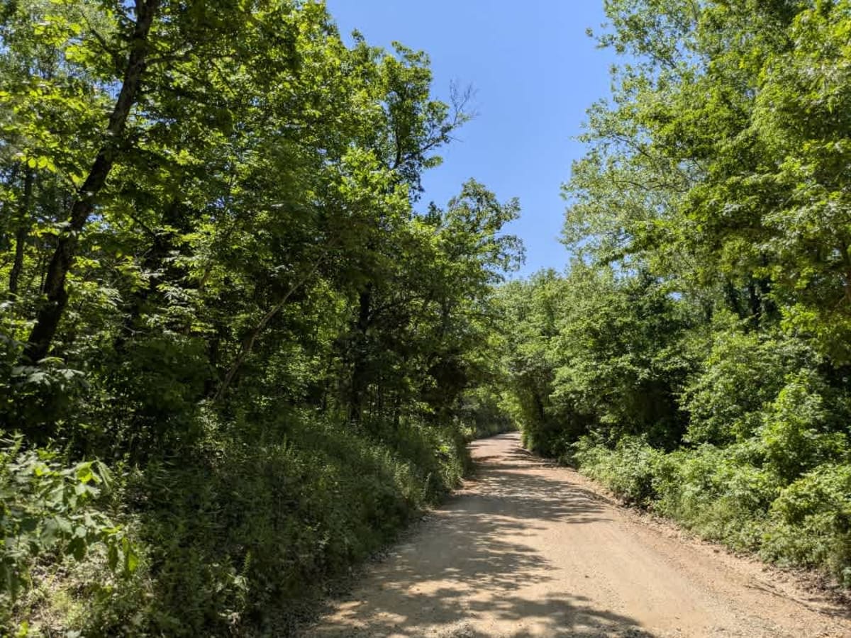North 387 photo 5