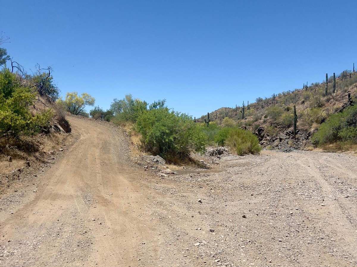 North Mine Road to Historic Anderson Mill photo 6