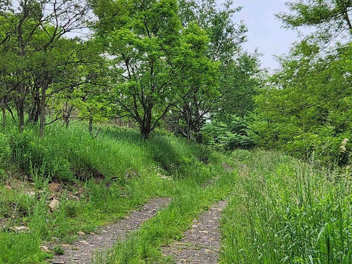 Trail 4I - Rock Run Recreation Area photo 3