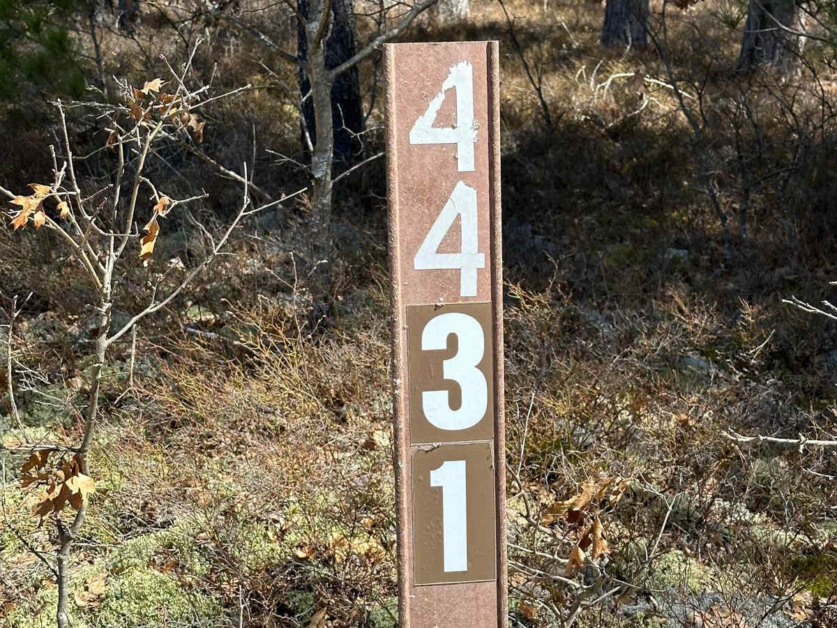 FS 4431 trail photo