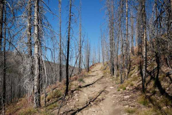 Richey Creek ATV Trail