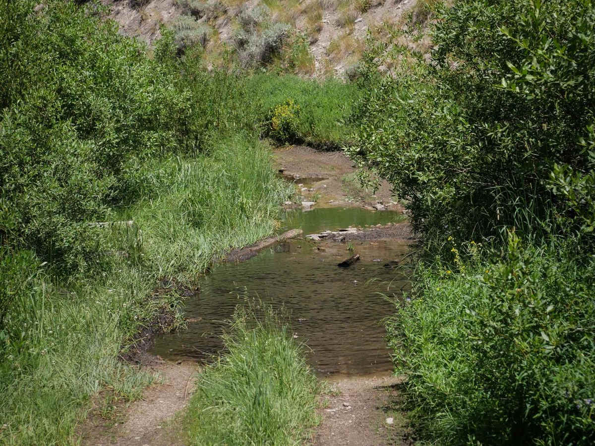 Lower Basin ATV photo 4