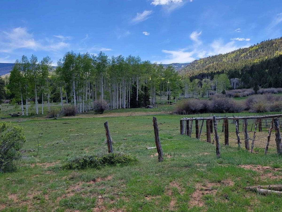30323 - Wildcat Trail photo 5