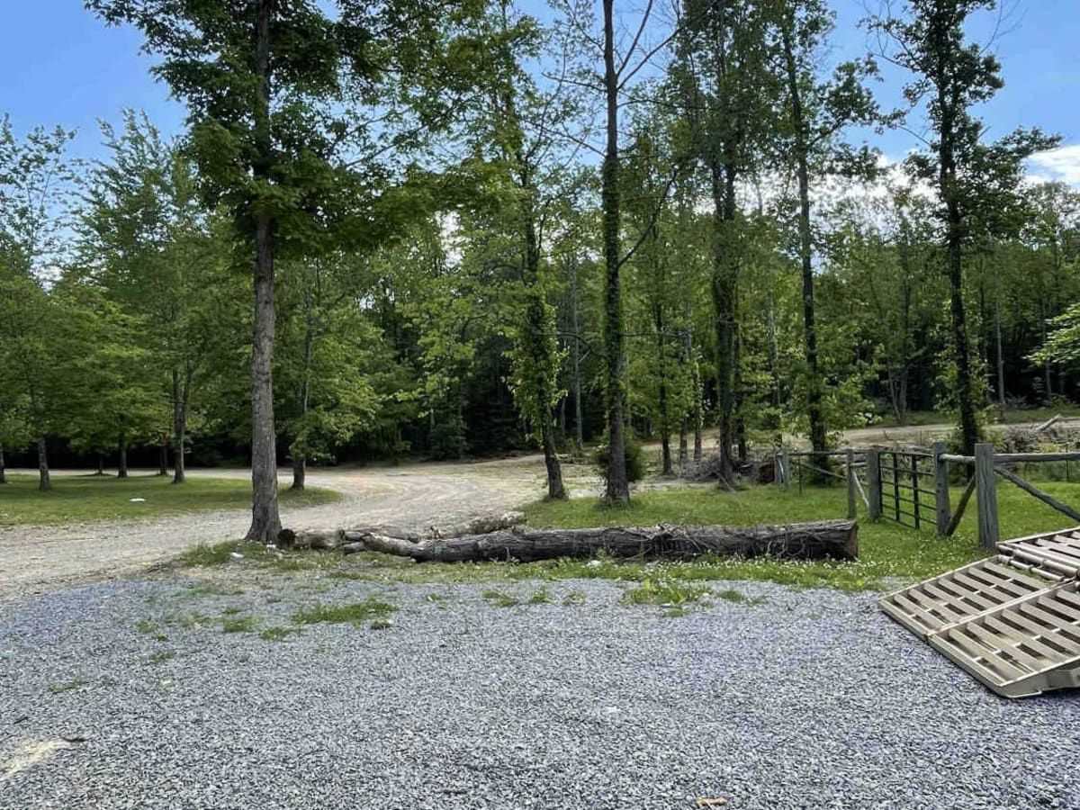 Gregory Lake West Boundary photo 3