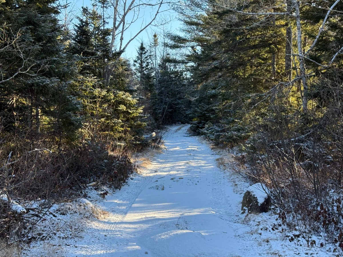 Dynamite Trail photo 2