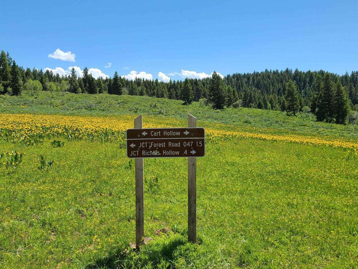 Cart Hollow trail photo