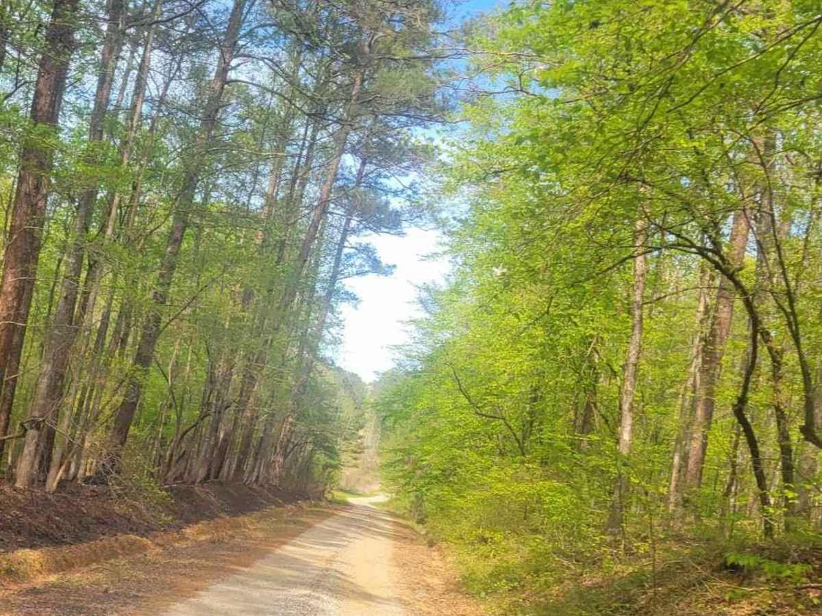 Felton McMichael Road photo 2