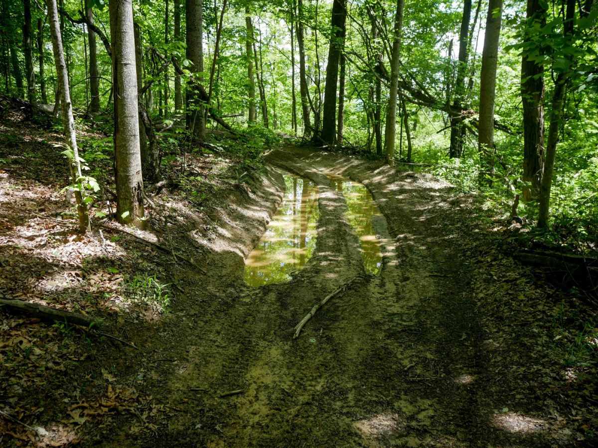 Trail 20 Mud Pit photo 3