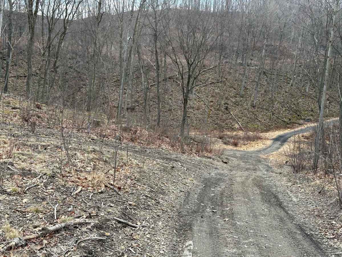 Ashland 63 photo 3