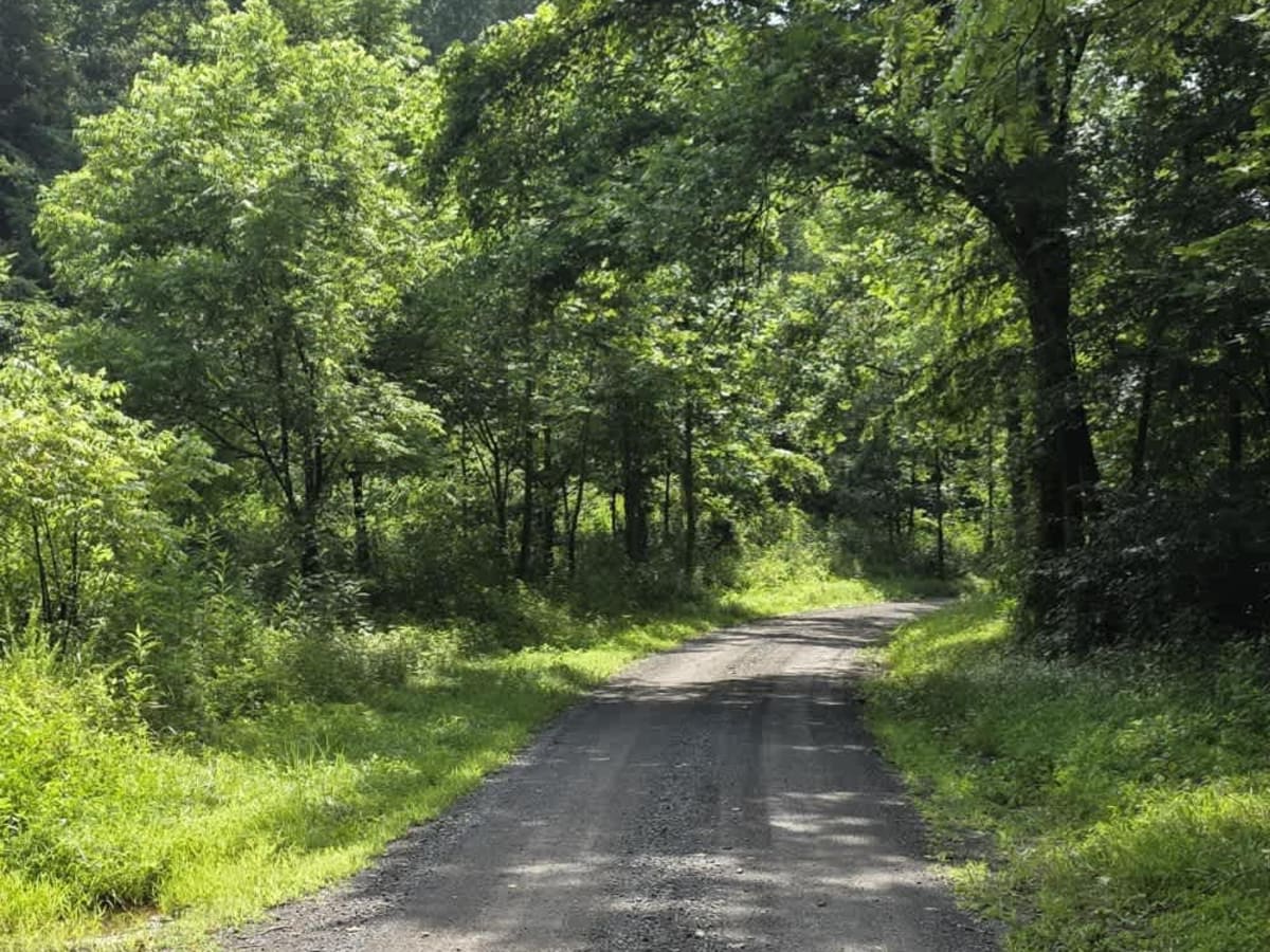 Gravley Hill Road - Macon County Tour trail photo