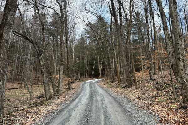 Kelly Road