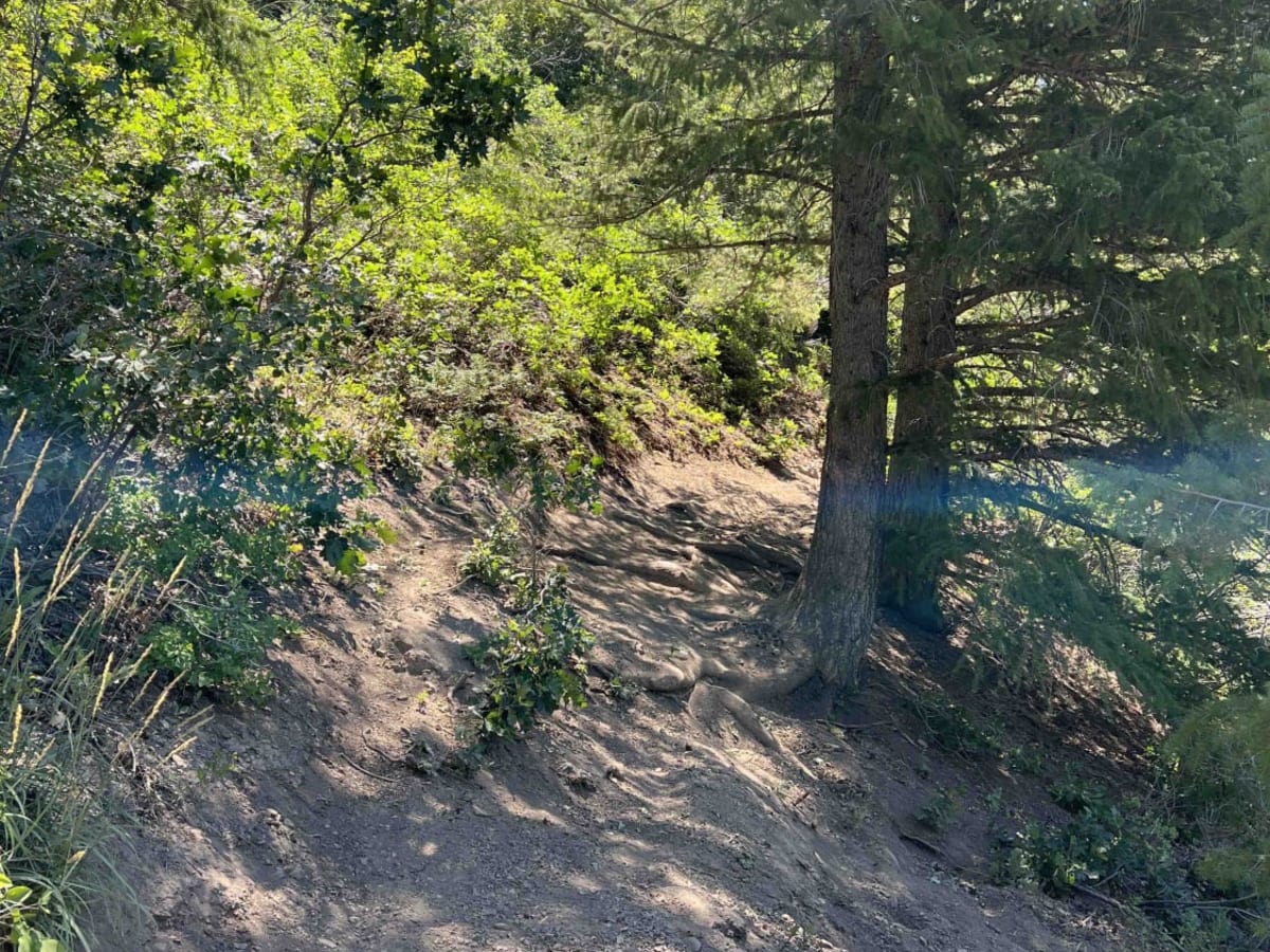 Holman (2039) photo 6