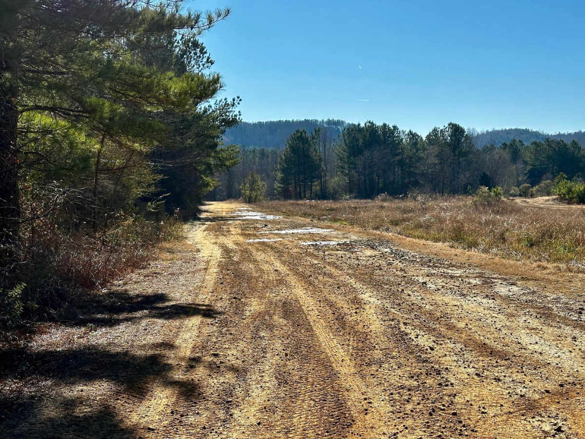 Main Access Trail trail photo