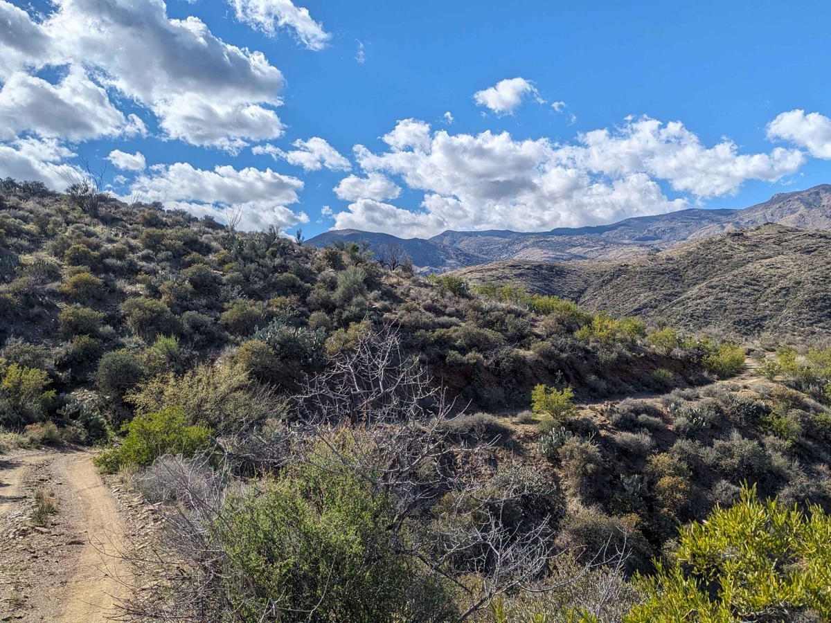 Black Canyon Creek photo 5