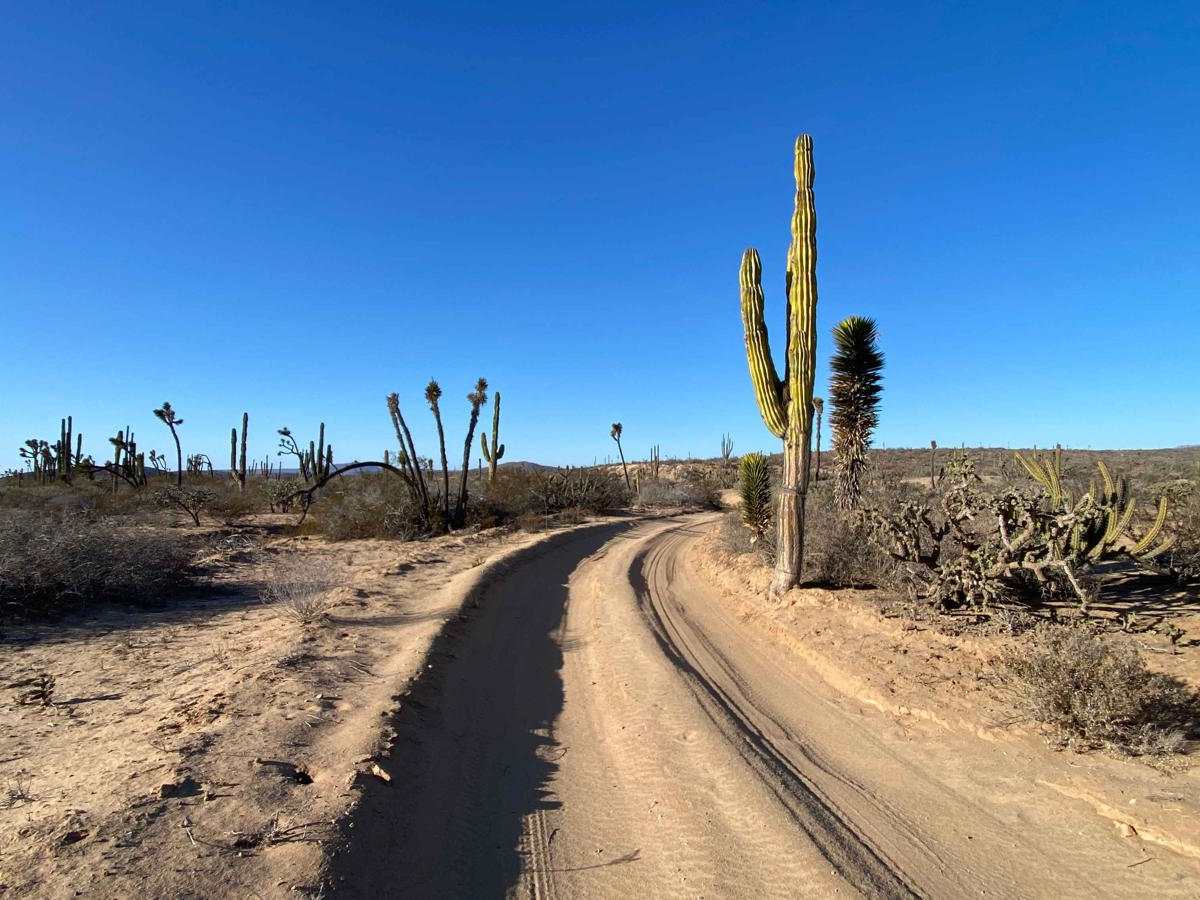 Four Corners East photo 5