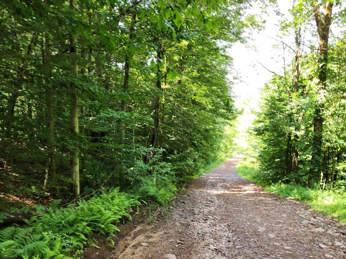 Happy Valley Road photo 4
