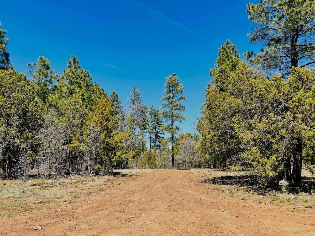 FR-9267C trail photo