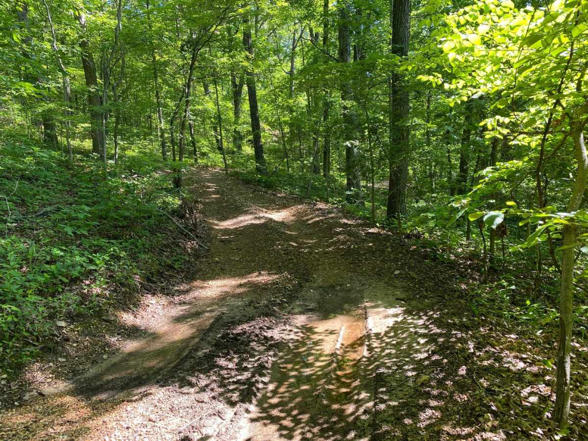Eagle Ridge photo 6