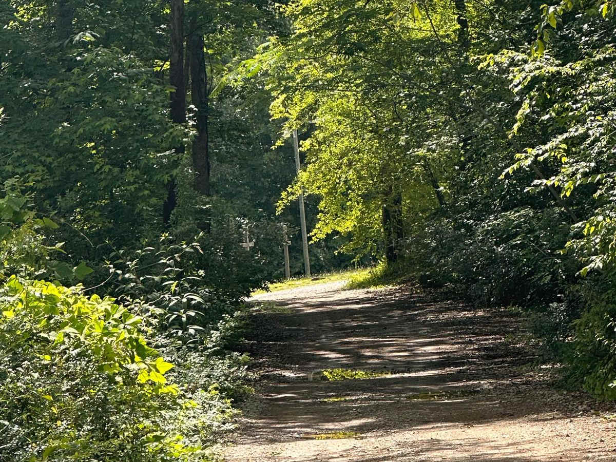 Trail G23 Windrock Park photo 4
