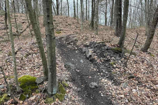 Burma Single Track 22