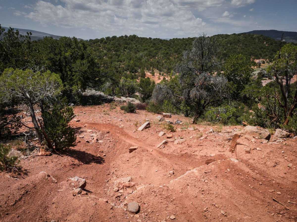 BLM 8624 photo 2