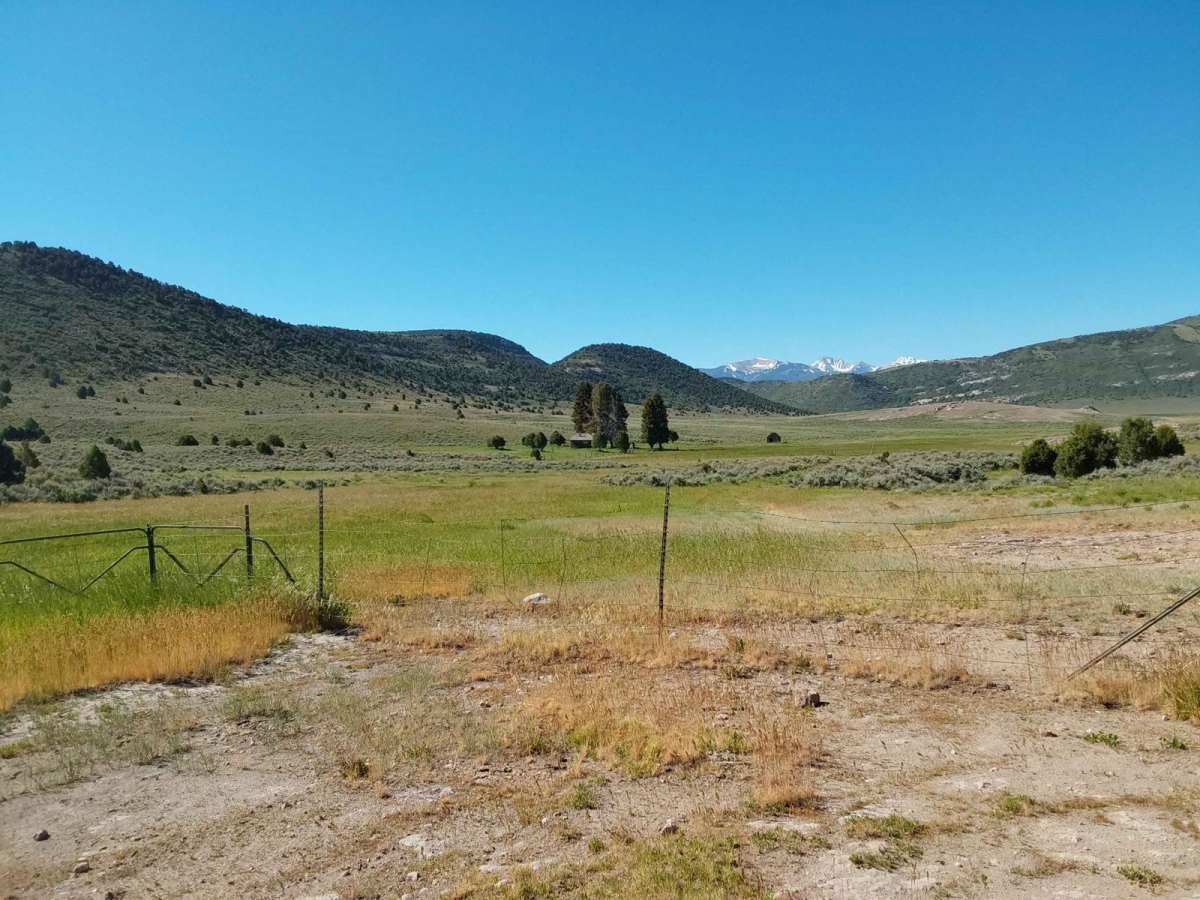 Paiute Trail #15 to Paiute Trail #6 photo 5
