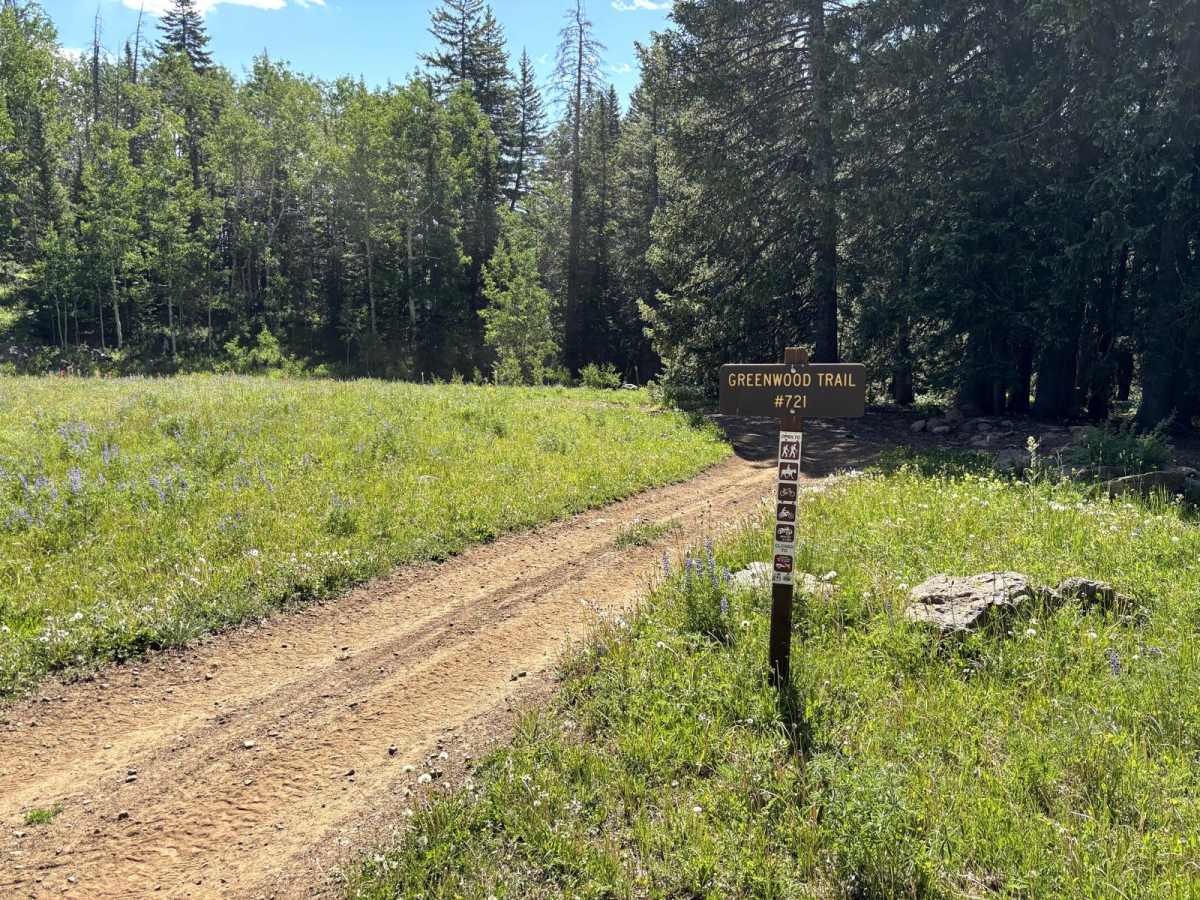 Greenwood Trail trail photo